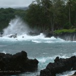 Hawaii Crashing Waves